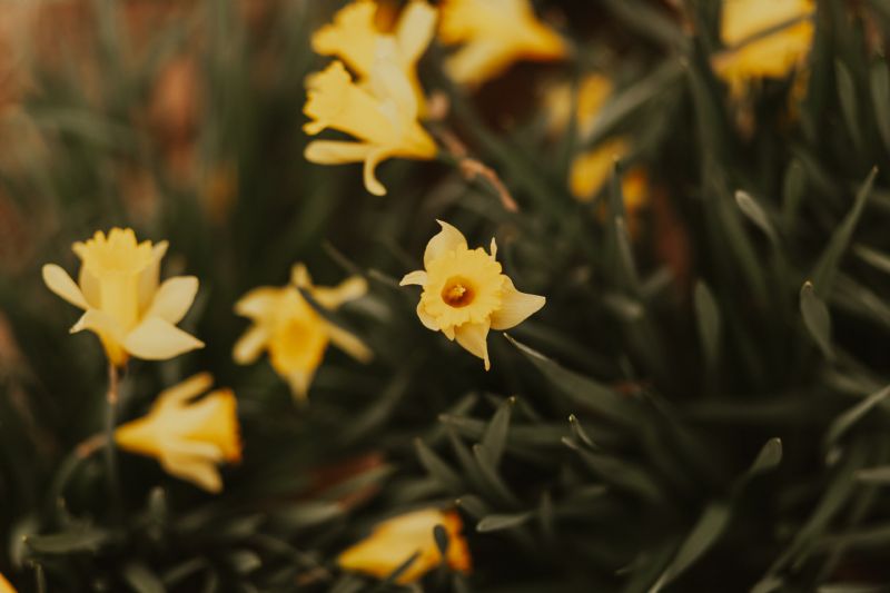 When Life is Full of, "I Don't Know"